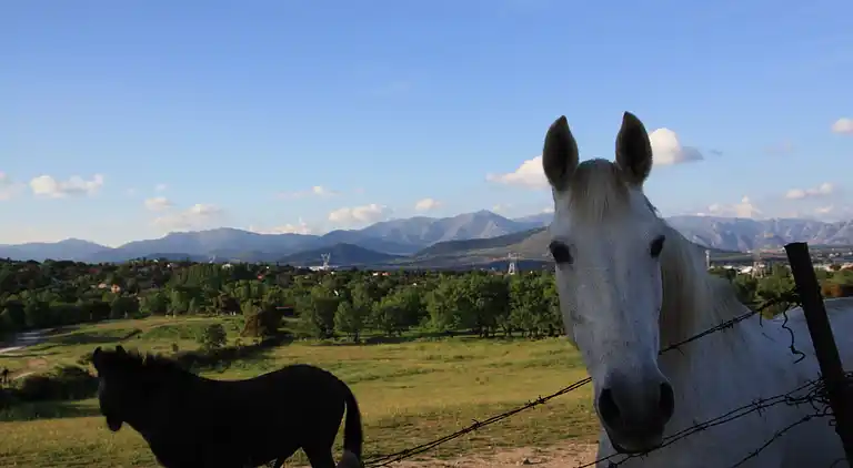 Sommerhus i Galapagar
