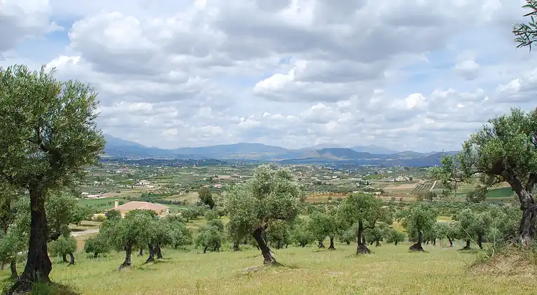 Feriebolig i Alhaurín el Grande