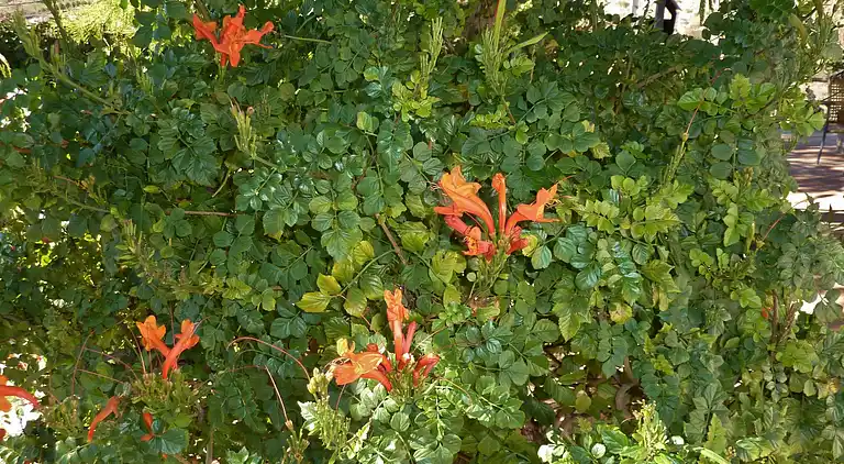 Cottage in Casabermeja