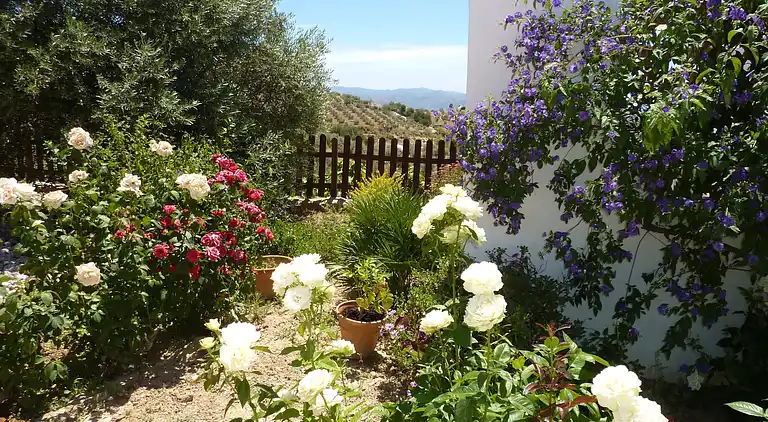 Villa i Villanueva de la Concepción