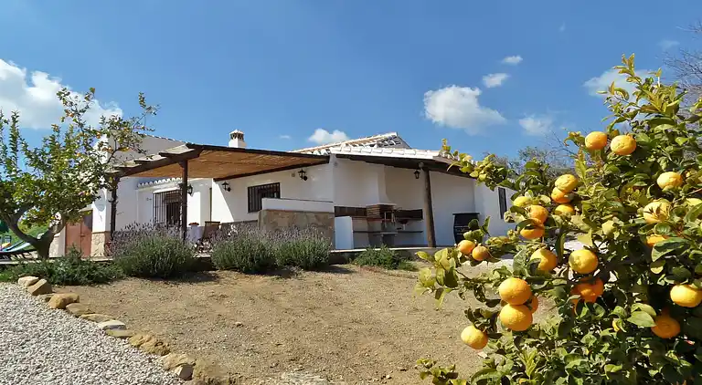 Cottage in Villanueva de la Concepción