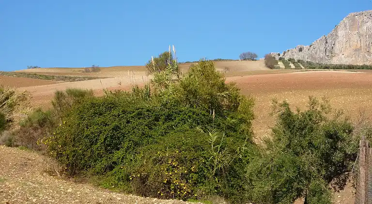 Cottage in Villanueva de la Concepción