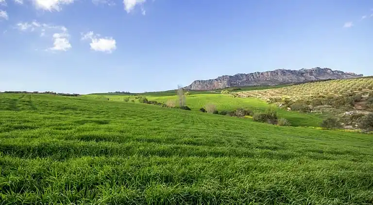 Cottage in Villanueva de la Concepción