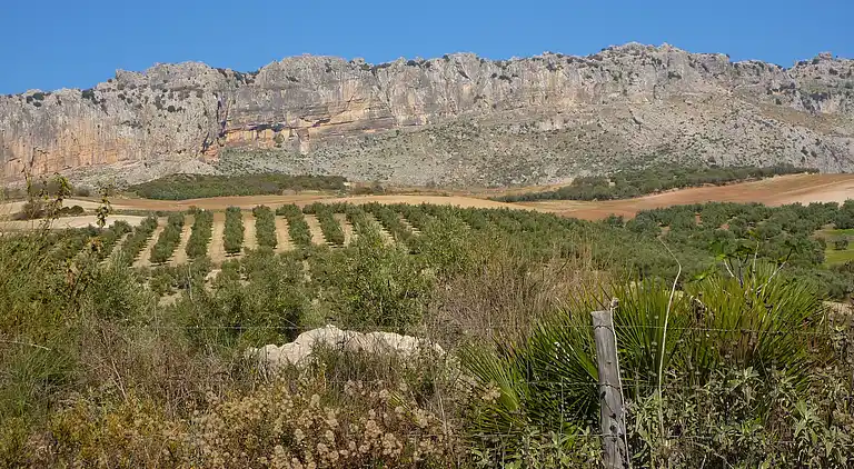 Cottage in Villanueva de la Concepción