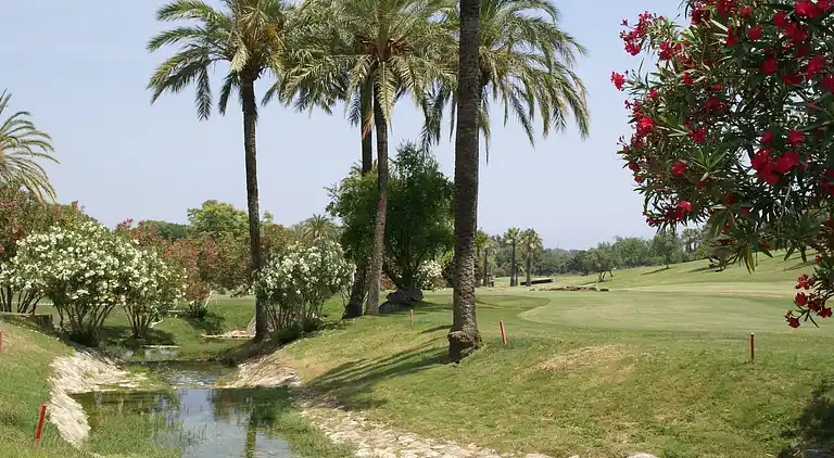 Appartement in Nueva Andalucía