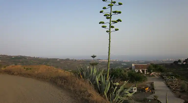 Villa in Vélez-Málaga