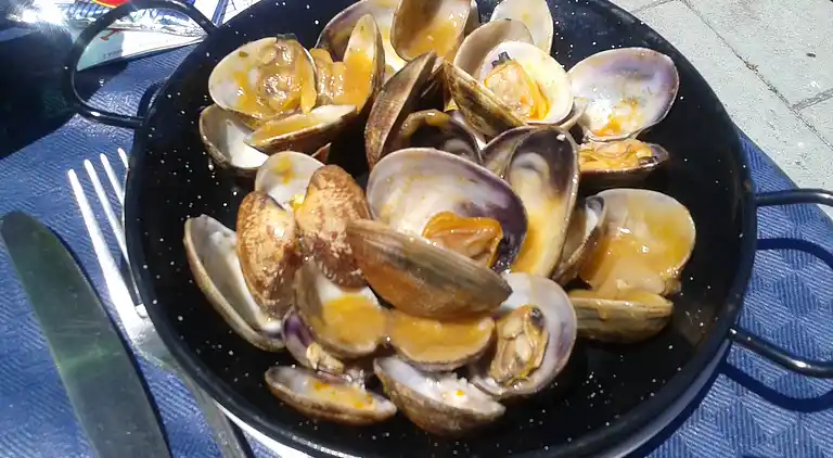 Ferielejlighed i Sanxenxo