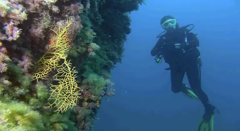 Ferielejlighed i Vilaflor