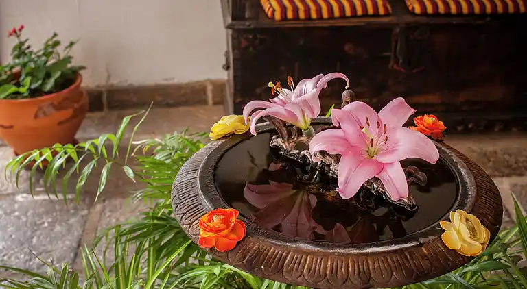 Ferielejlighed i Vilaflor