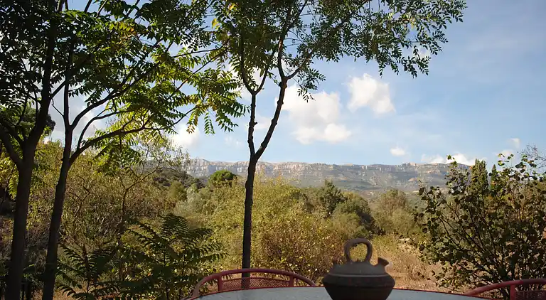 Cottage in Cornudella de Montsant