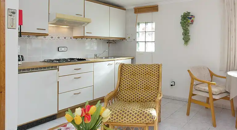 Feriebolig i Pinós de Miramar