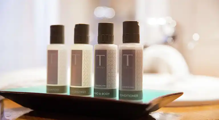 Holiday home in Morzine