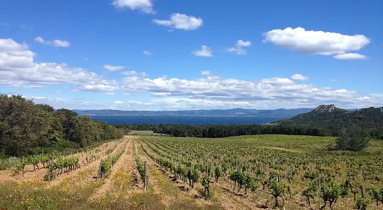 Villa in Le Beausset