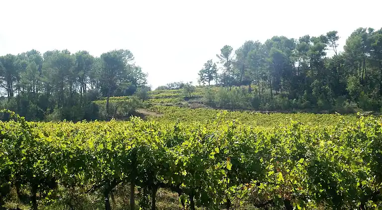 Sommerhus i Draguignan