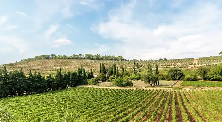 Villa in Saint-Antonin-du-Var