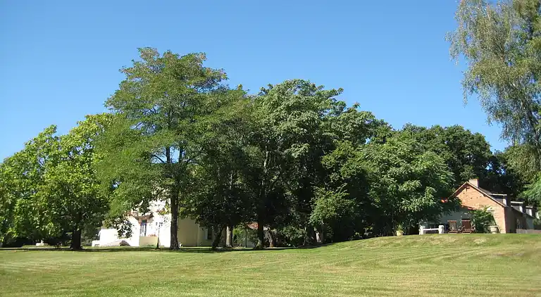 Sommerhus i Saint-Didier-la-Forêt