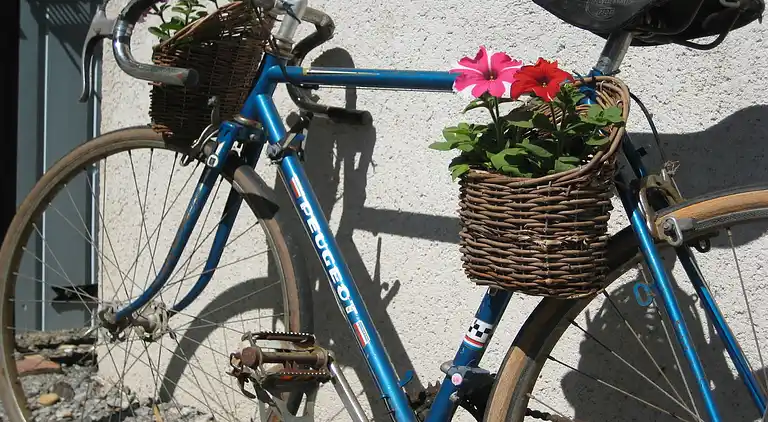 Sommerhus i Saint-Didier-la-Forêt