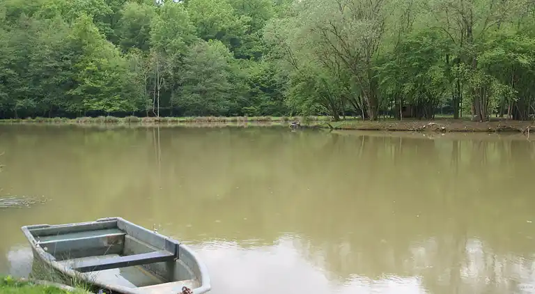 Ferienhaus in Dampierre-sur-Salon