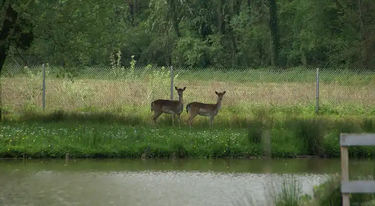 Ferienhaus in Dampierre-sur-Salon