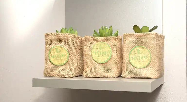 Ferienhaus in Dampierre-sur-Salon