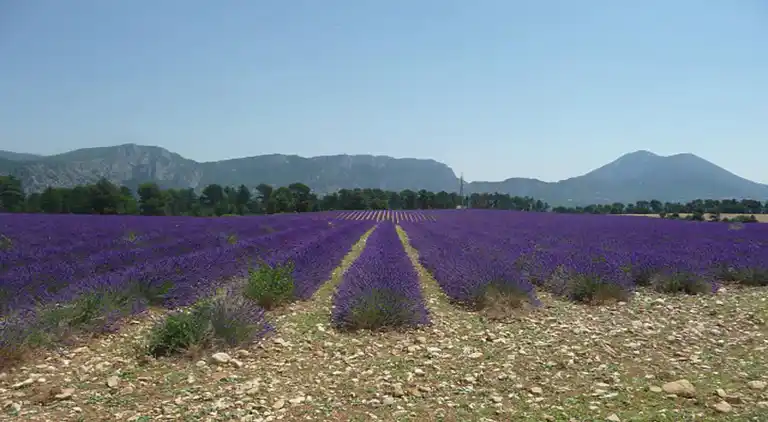 Sommerhus i Céreste