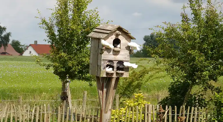 Holiday home in Hondschoote