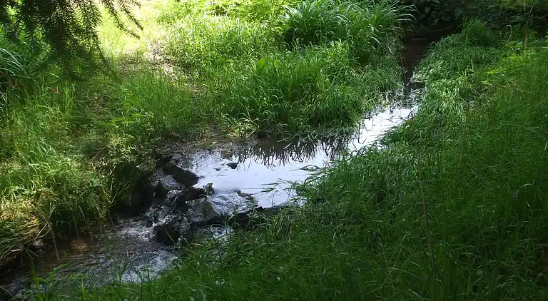 Feriebolig i Pionsat