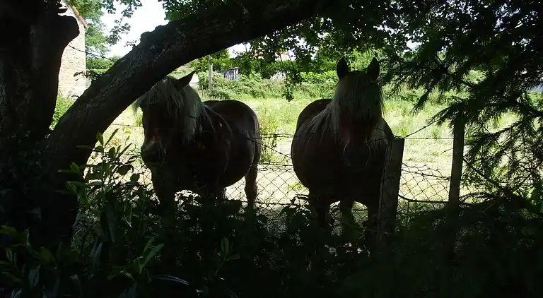 Feriebolig i Pionsat