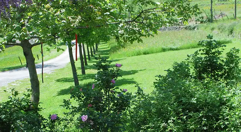 Holiday home in Saint-Sauveur-de-Montagut