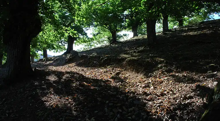 Holiday home in Saint-Sauveur-de-Montagut