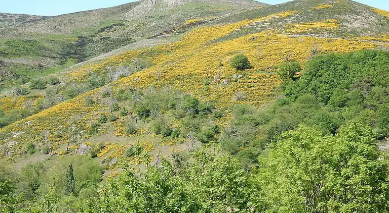 Feriebolig i Saint-Julien-du-Gua