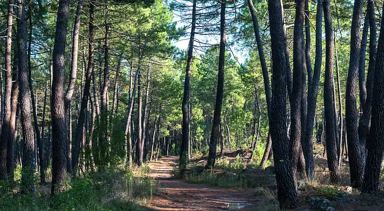 Ferielejlighed i Lablachère