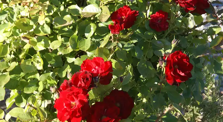Apartment in Lablachère