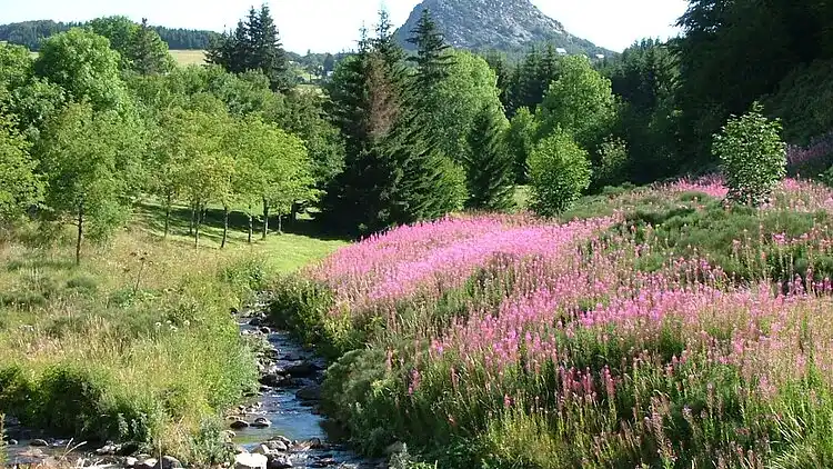 Ferielejlighed i Désaignes