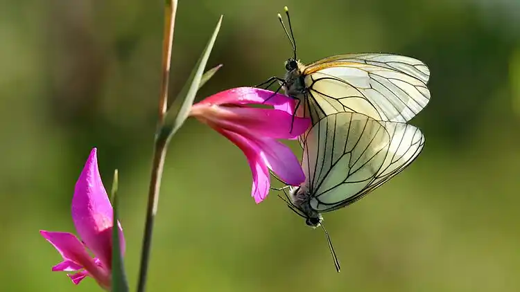 Apartment in Désaignes