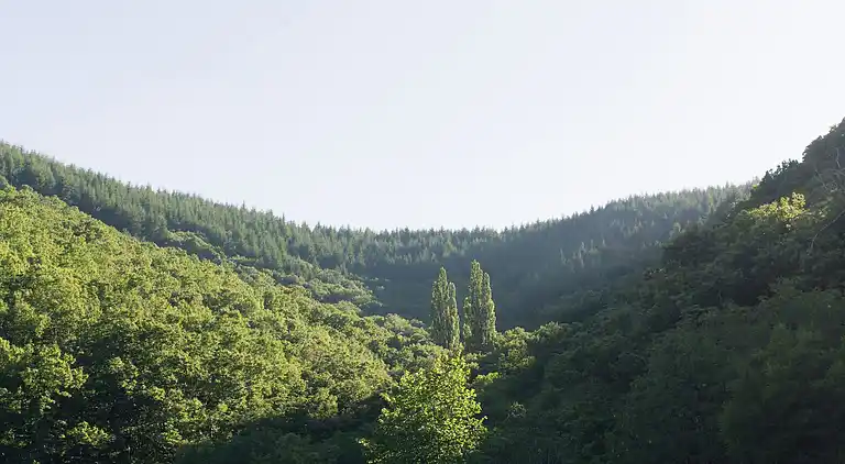 Ferielejlighed i Labastide-sur-Bésorgues