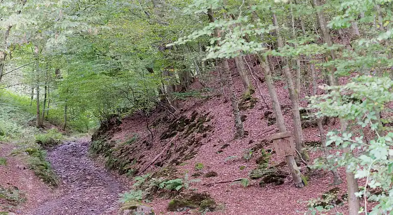 Cottage in Vireux-Wallerand