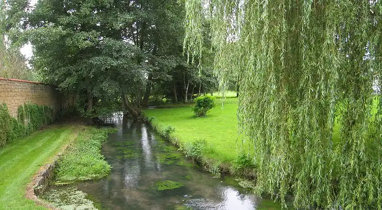 Slot i Signy-l'Abbaye