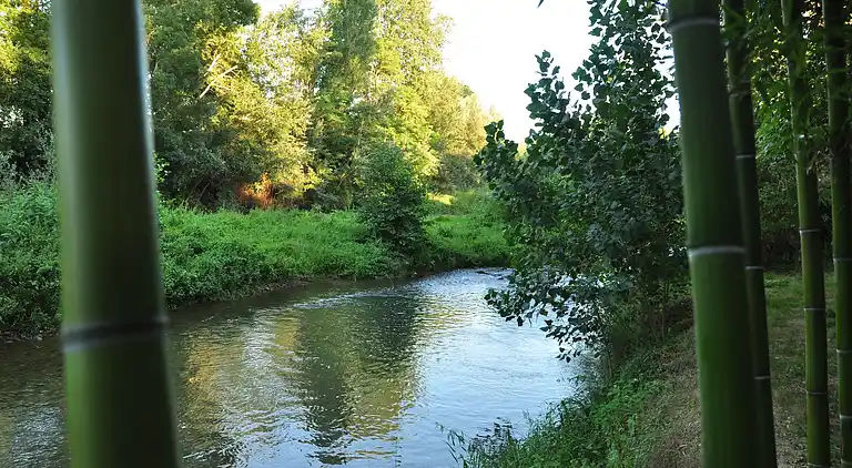 Holiday home in Mirepoix