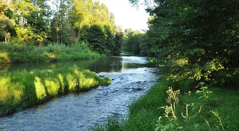 Holiday home in Mirepoix