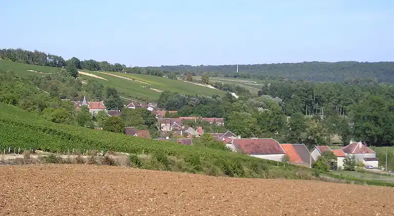 Holiday home in Vendeuvre-sur-Barse