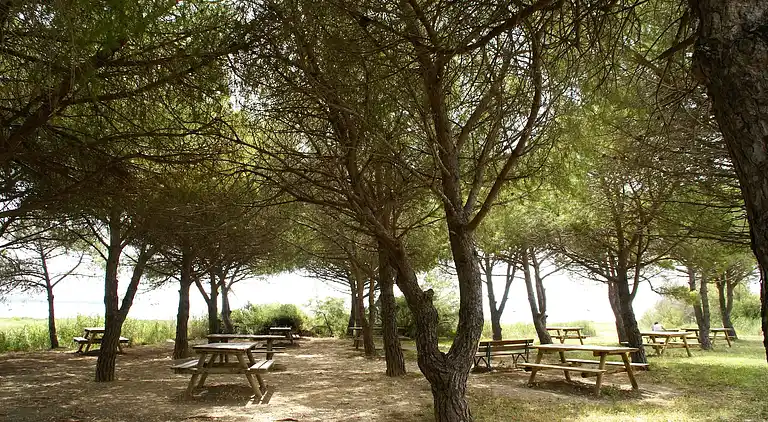 Villa i Montredon-des-Corbières