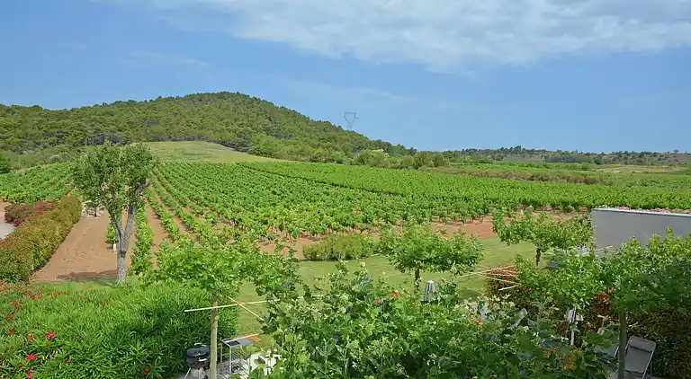 Villa i Rieux-Minervois