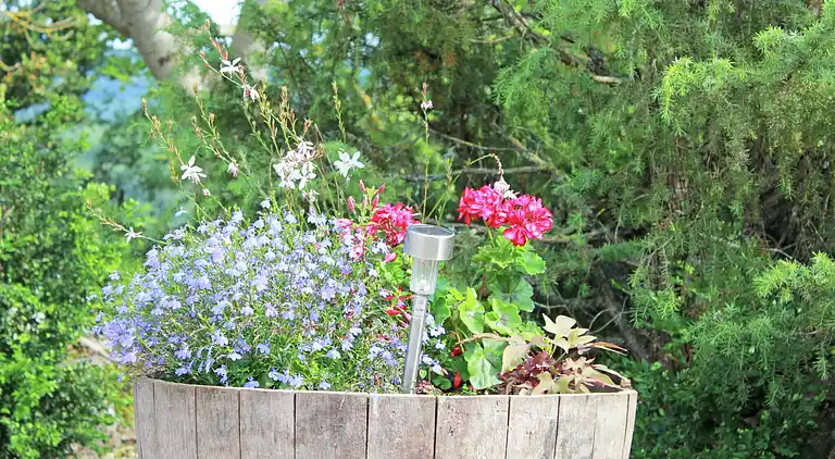 Holiday home in Cassaignes