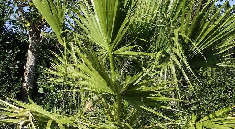 Holiday home in Lézignan-Corbières