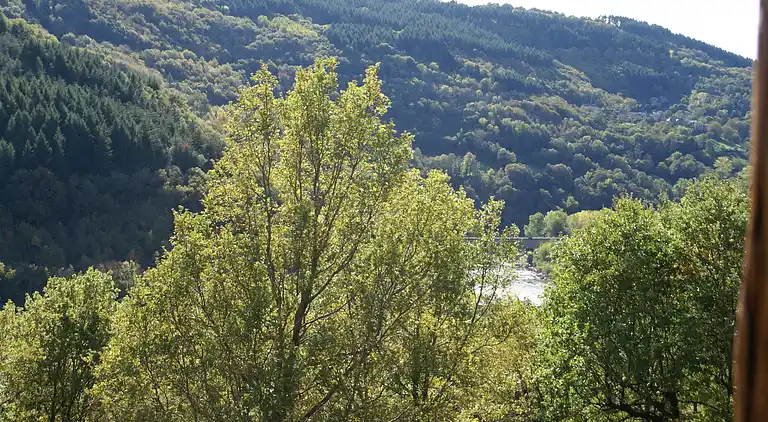 Holiday home in Réquista