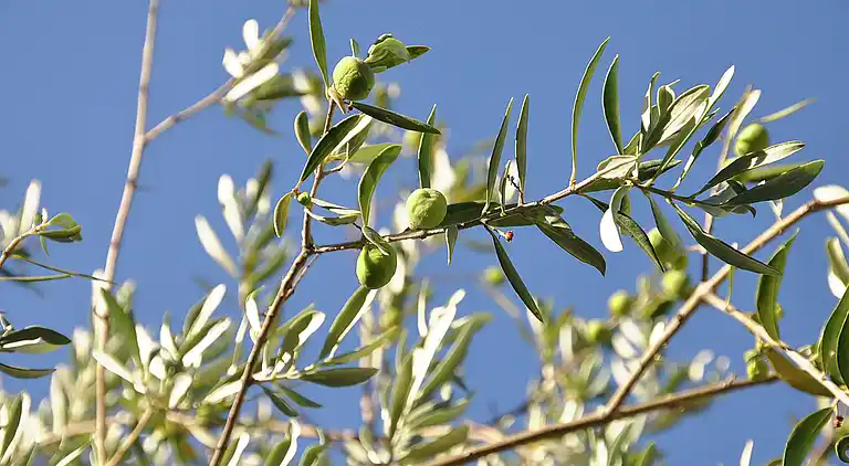 Villa in Plateau de Puyricard