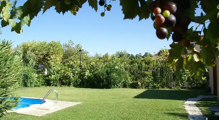 Vakantiehuis in Noves