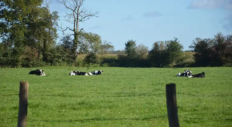 Semesterbostad i Vouilly