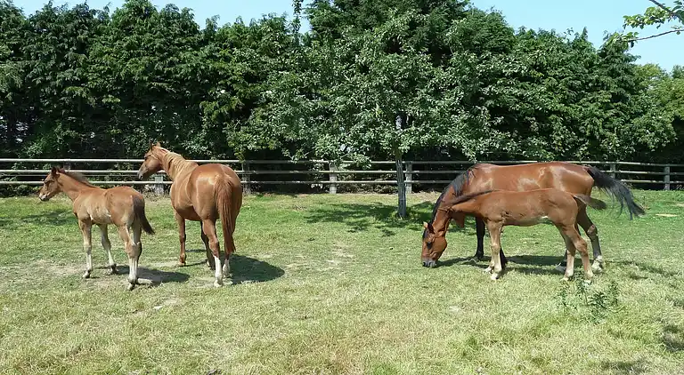 Holiday home in Bayeux